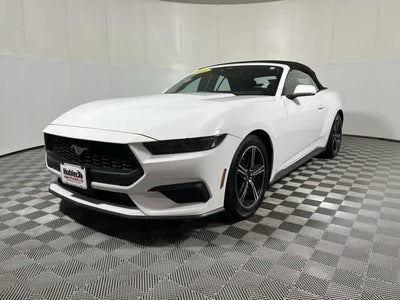 2025 Ford Mustang EcoBoost Premium
