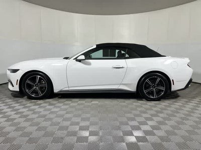 2025 Ford Mustang EcoBoost Premium