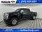 2022 Ford Super Duty F-250 SRW Platinum